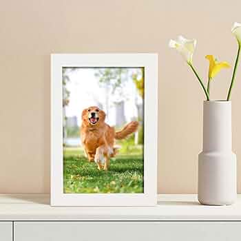 Amazon.co.jp: [VANDROUP] フォトフレーム 写真たて